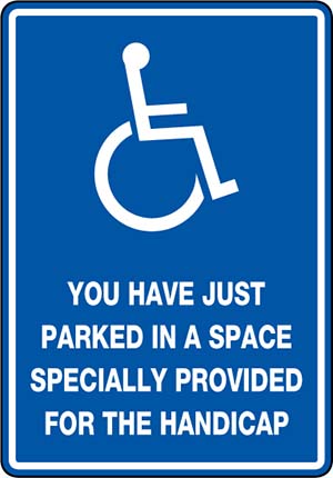 You Have Just Parked in a Space